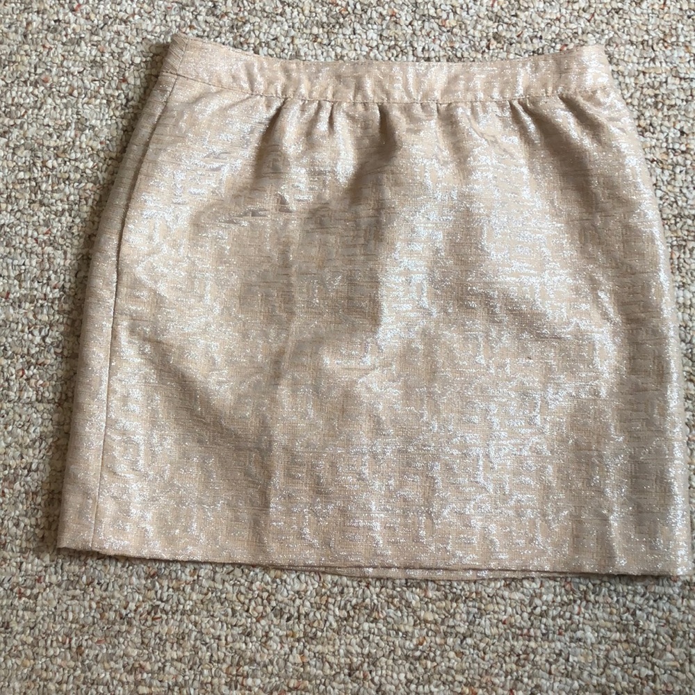 Ann Taylor metallic skirt